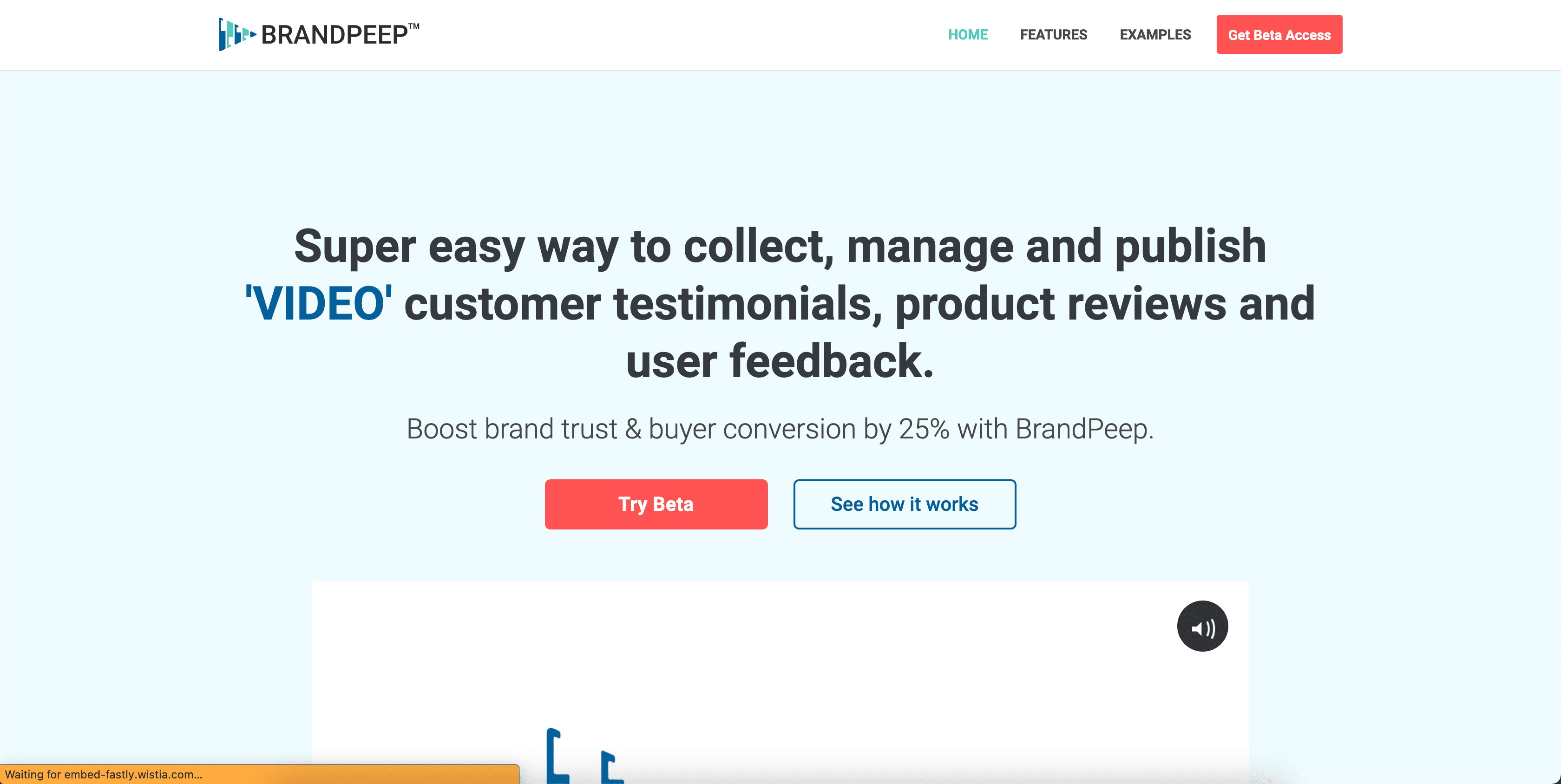 BrandPeep Website